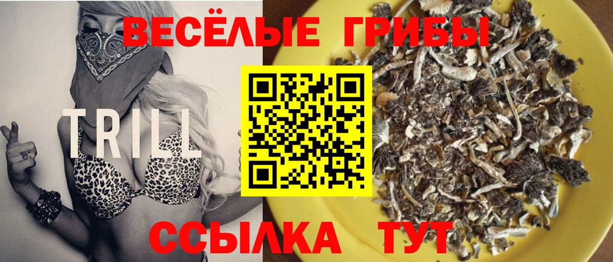 A-PVP Таганрог