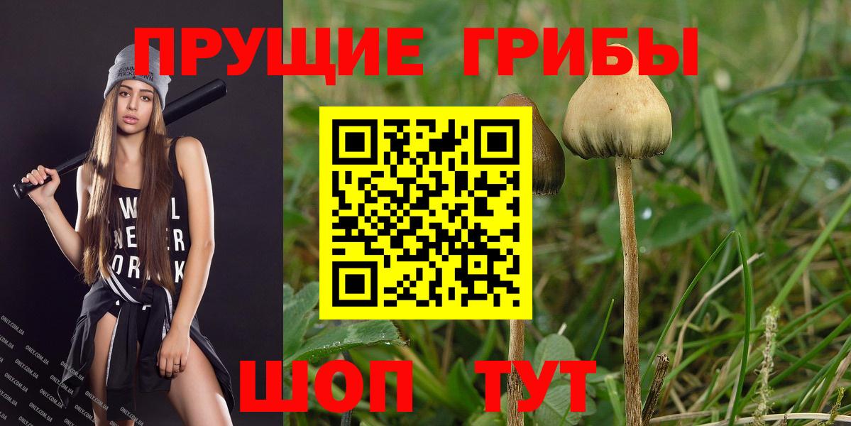 Галлюциногенные грибы Magic Shrooms  Вход с VPN  Таганрог 